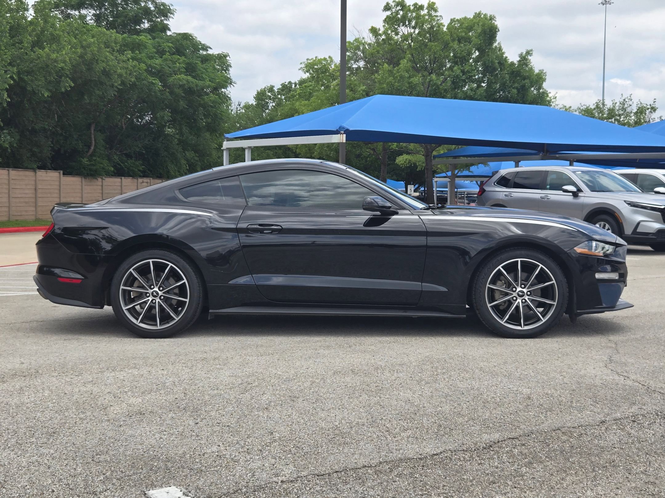 Used 2019 Ford Mustang Premium w/ Equipment Group 201A RWD image 2