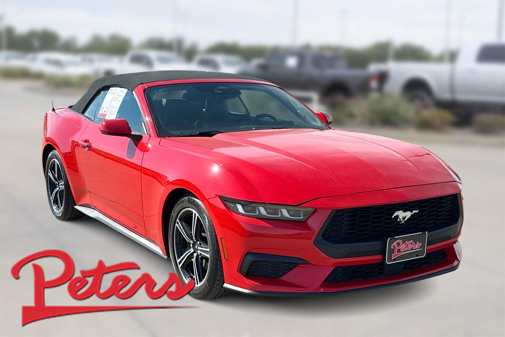 Used 2024 Ford Mustang Premium image 1