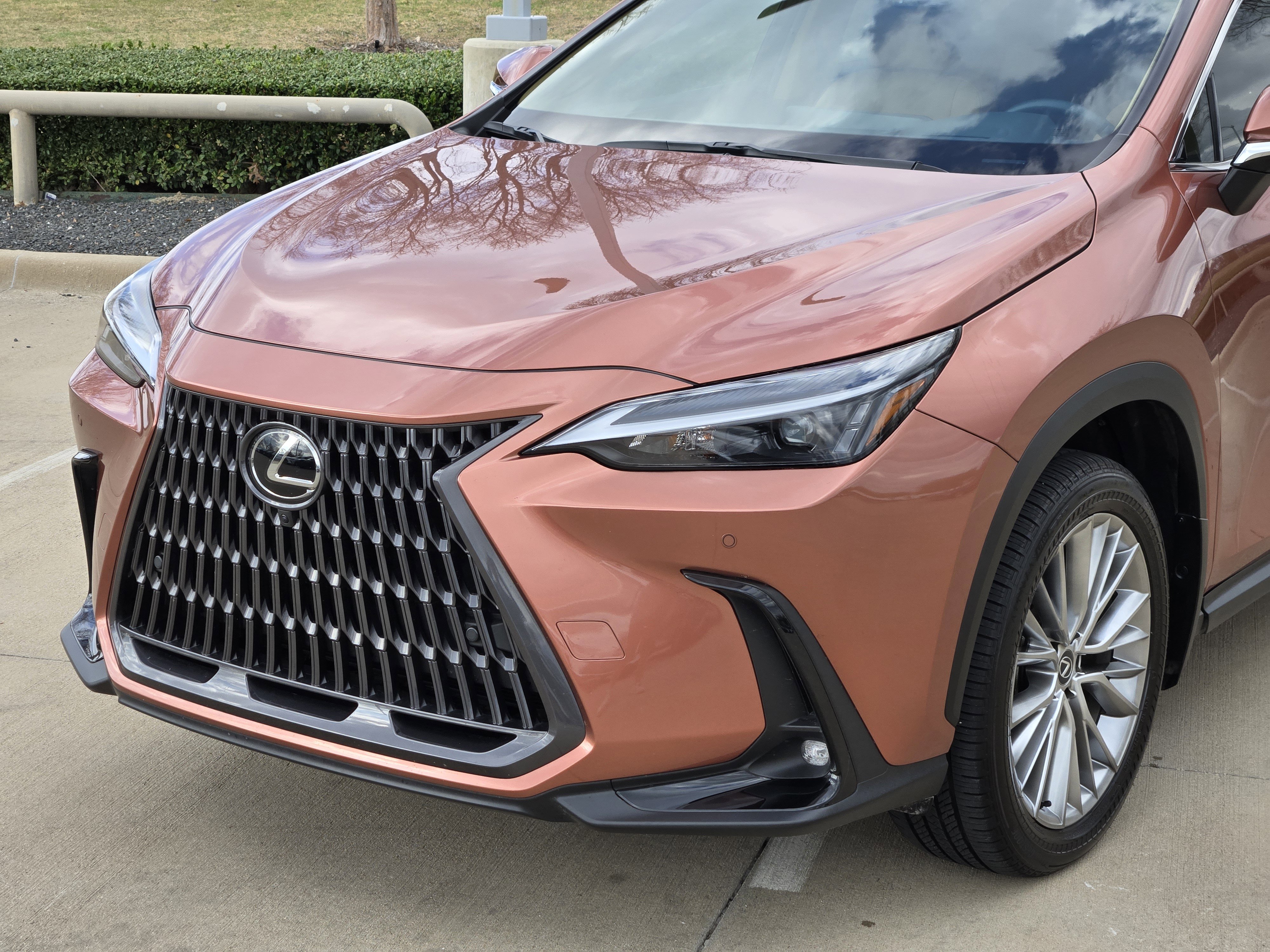 Used 2025 Lexus NX 350 AWD w/ Premium Package image 13