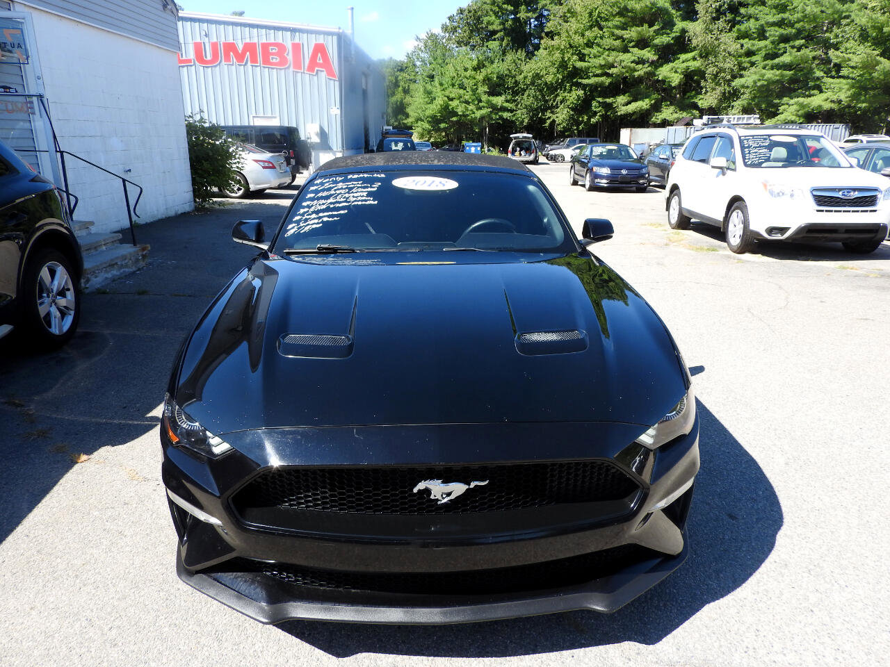 Used 2018 Ford Mustang Premium w/ Equipment Group 201A image 5