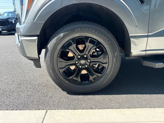 Used 2023 Ford F150 XLT w/ Equipment Group 302A High AWD/4WD image 8