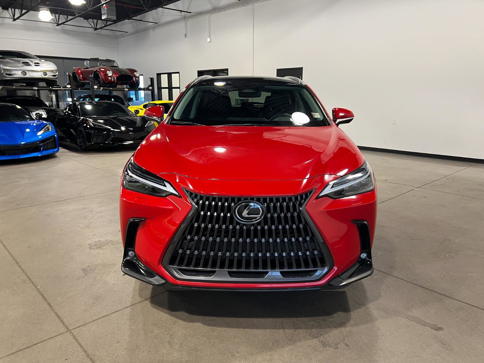 Used 2025 Lexus NX 300h NX 350h Luxury image 8