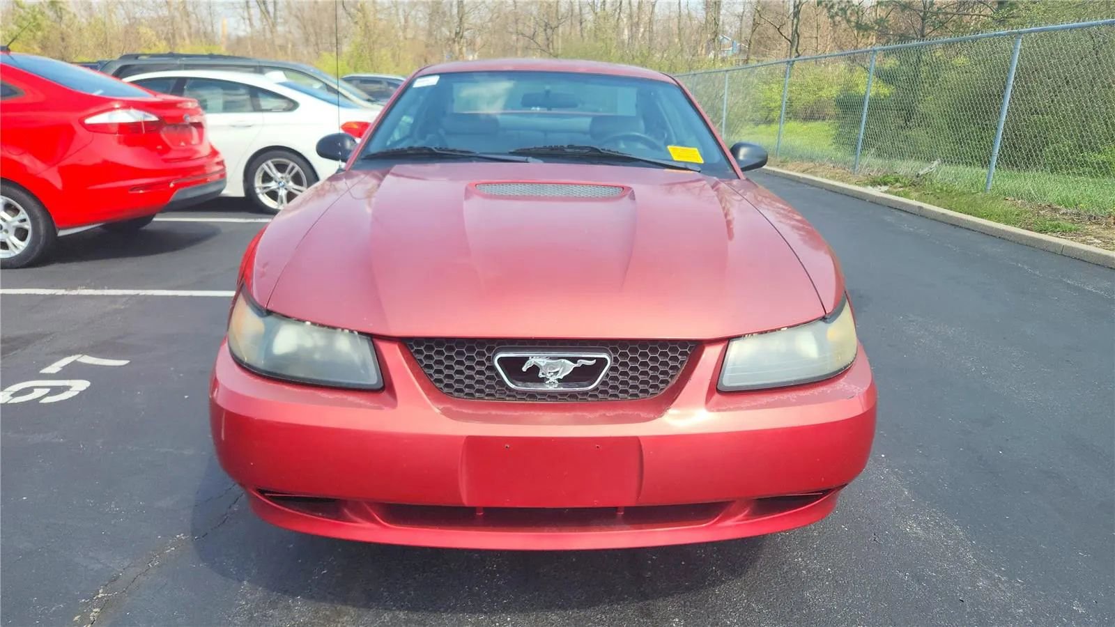 Used 2001 Ford Mustang Coupe RWD image 7