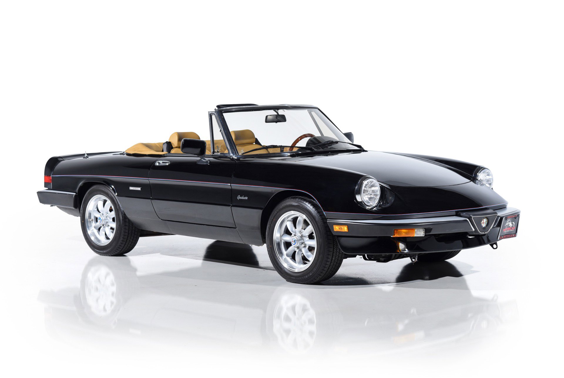 Used 1988 Alfa Romeo Spider Graduate