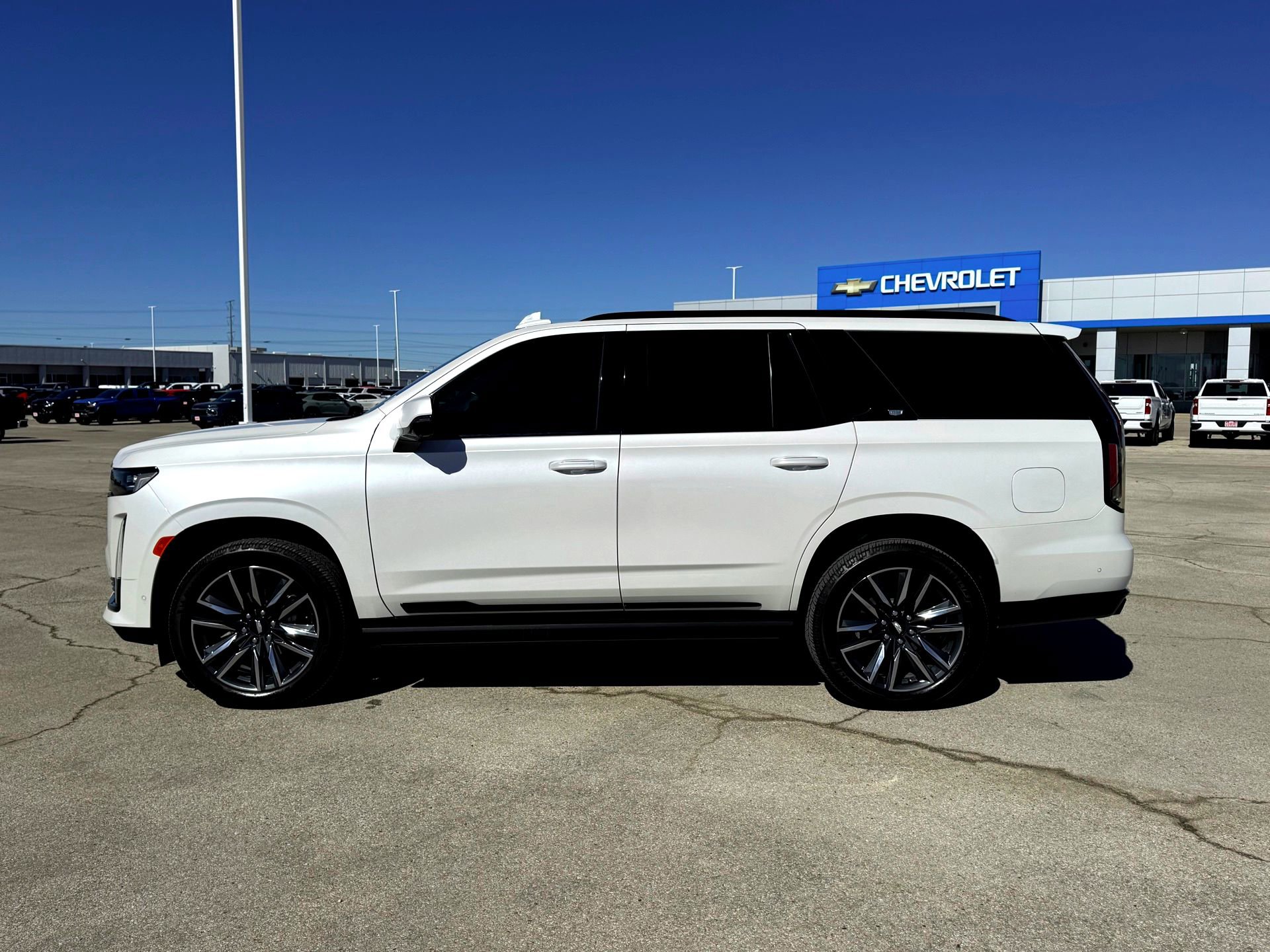 Used 2023 Cadillac Escalade Sport Platinum w/ Heavy-Duty Trailer Package image 12