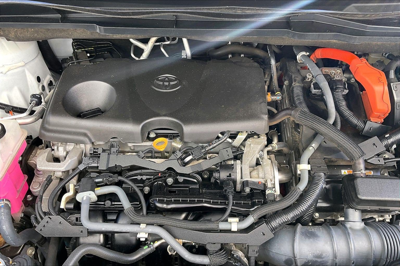 Used 2021 Toyota Sienna XLE w/ XLE Plus Package AWD/4WD image 13