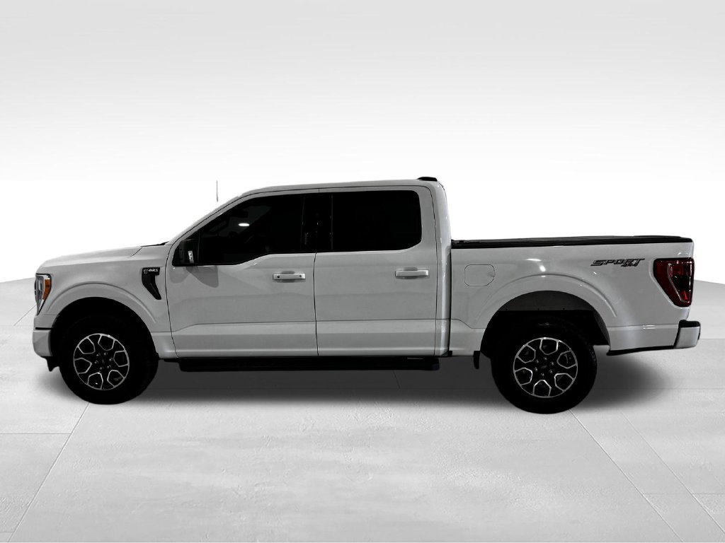 Used 2022 Ford F150 XLT w/ Equipment Group 302A High AWD/4WD image 13