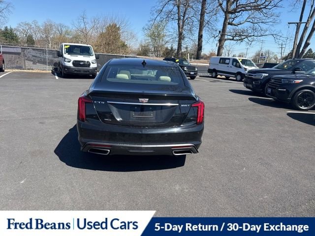 Used 2024 Cadillac CT5 Luxury w/ Sun And Sound Package AWD/4WD image 6