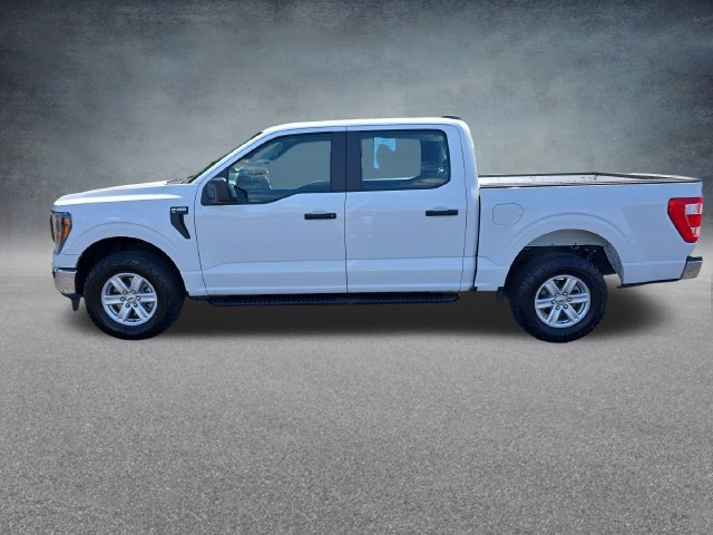 Used 2023 Ford F150 XL w/ XL Chrome Appearance Package AWD/4WD image 4