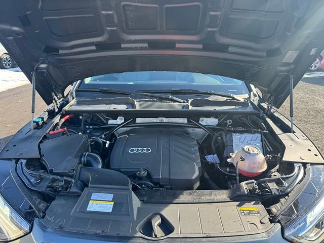 Used 2023 Audi Q5 2.0T Premium Plus w/ Premium Plus Package image 3
