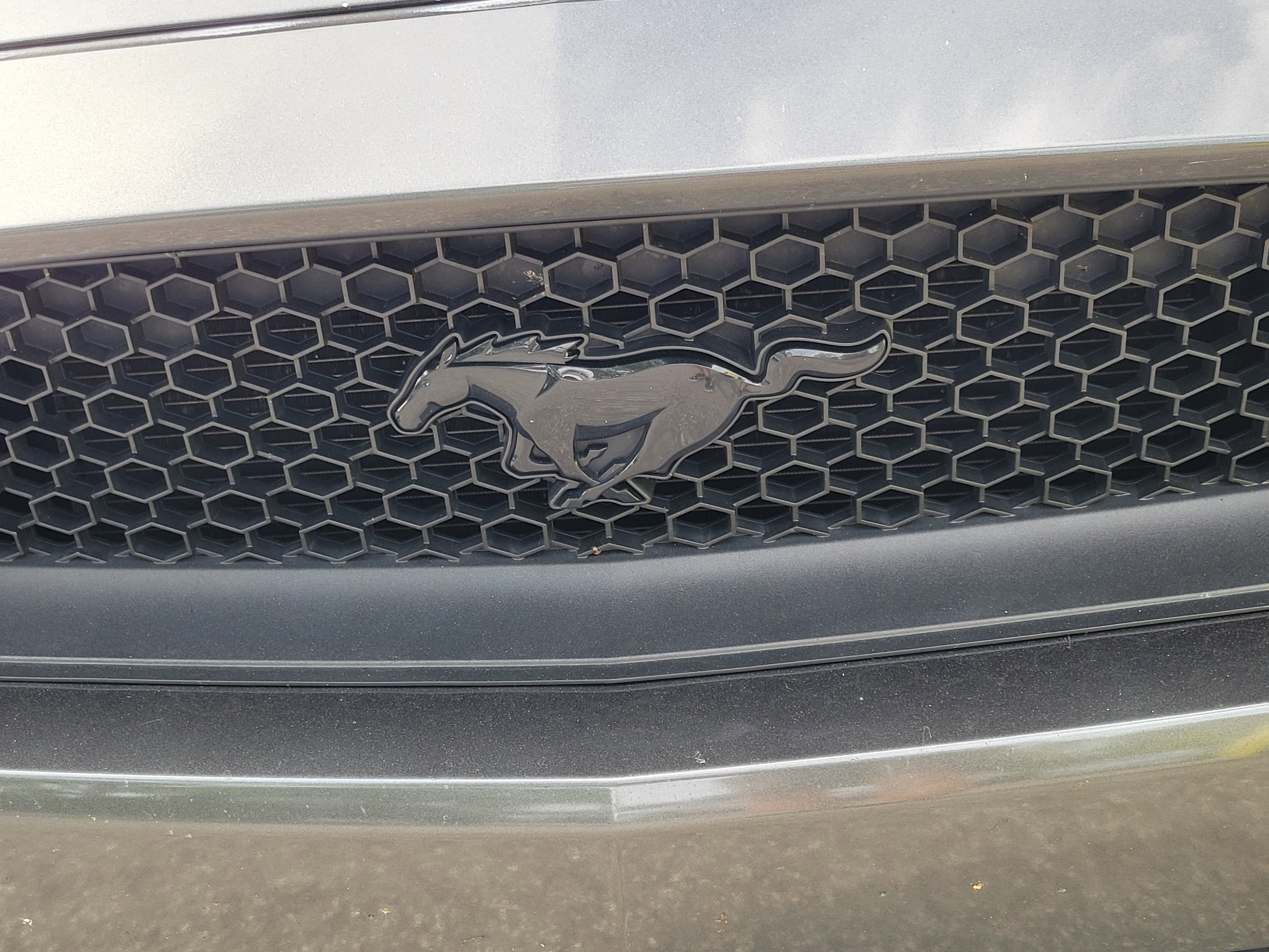 Used 2016 Ford Mustang GT Premium w/ Equipment Group 401A image 5