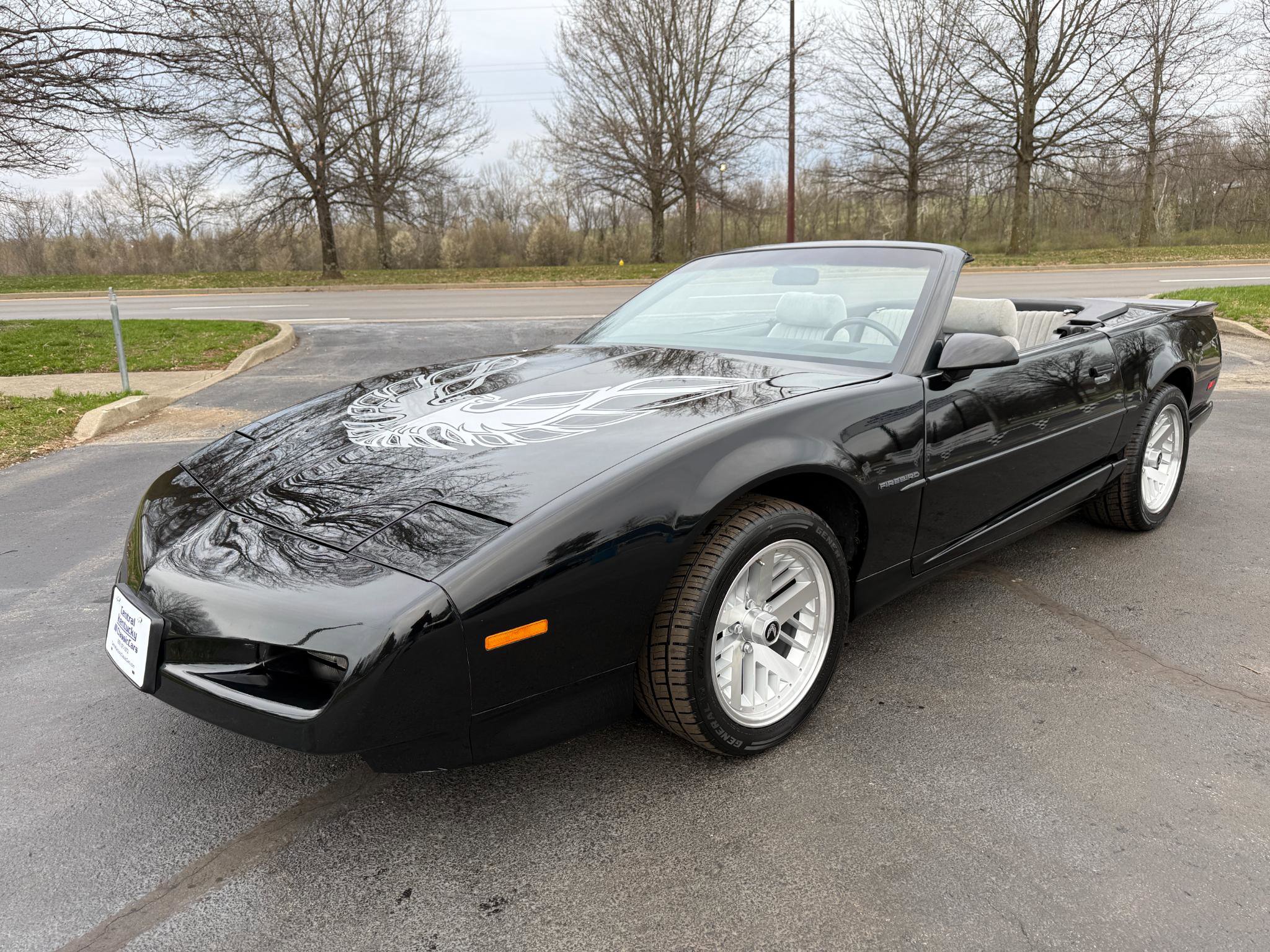 Used 1991 Pontiac Firebird Convertible image 14