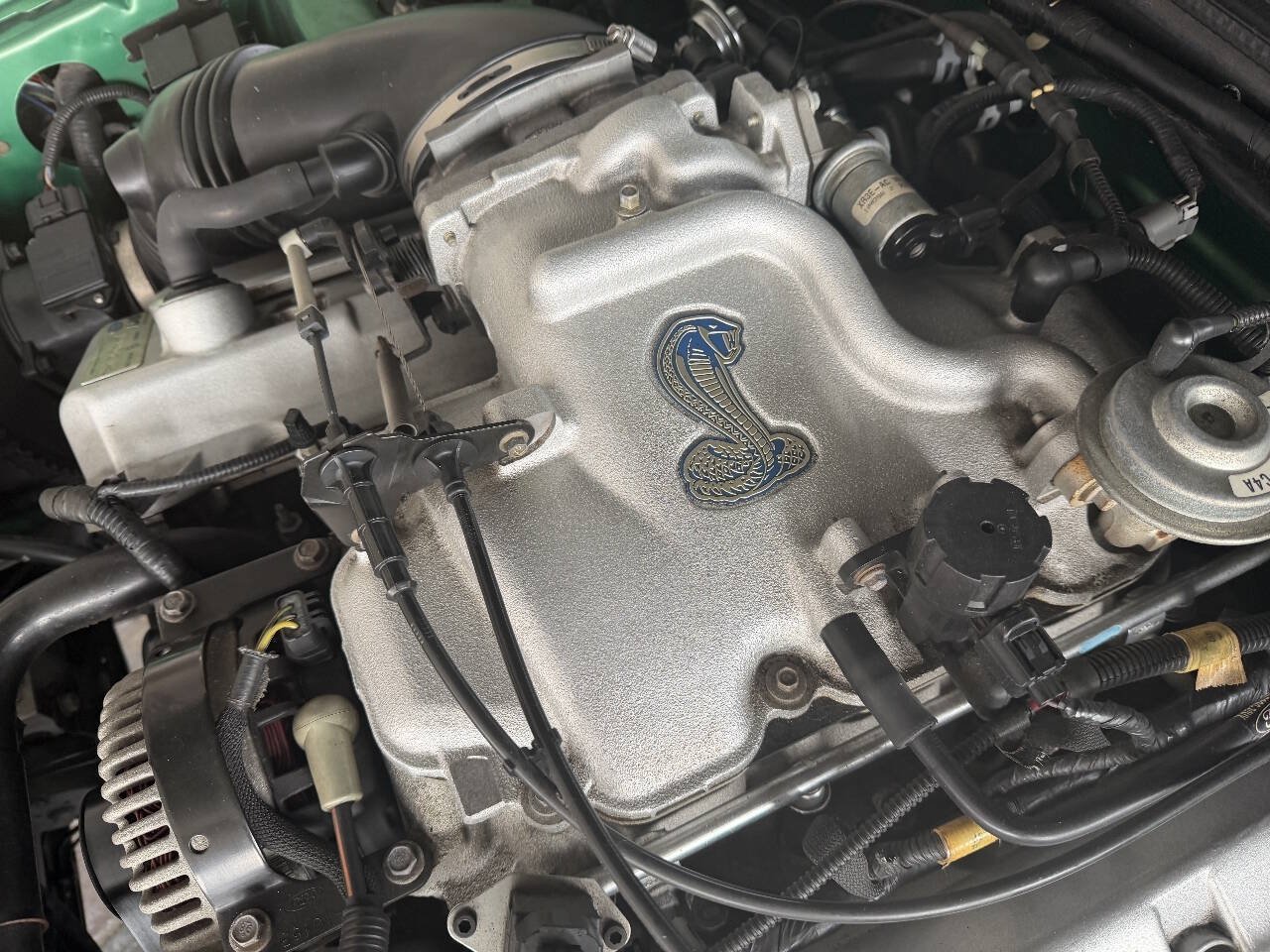 Used 1999 Ford Mustang Cobra RWD image 23