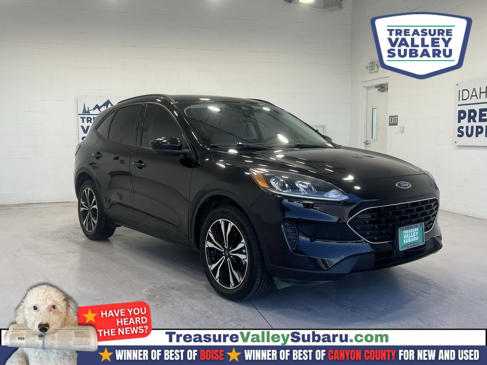 Used 2022 Ford Escape SE w/ SE Sport Appearance Package