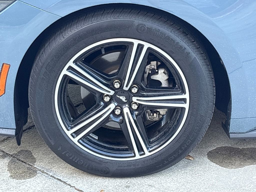 Used 2024 Ford Mustang Premium image 11