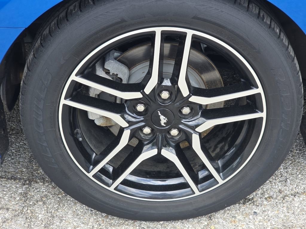 Used 2019 Ford Mustang Premium w/ Equipment Group 201A RWD image 11