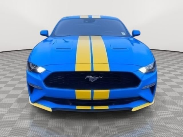 Used 2022 Ford Mustang Coupe w/ Equipment Group 101A RWD image 2