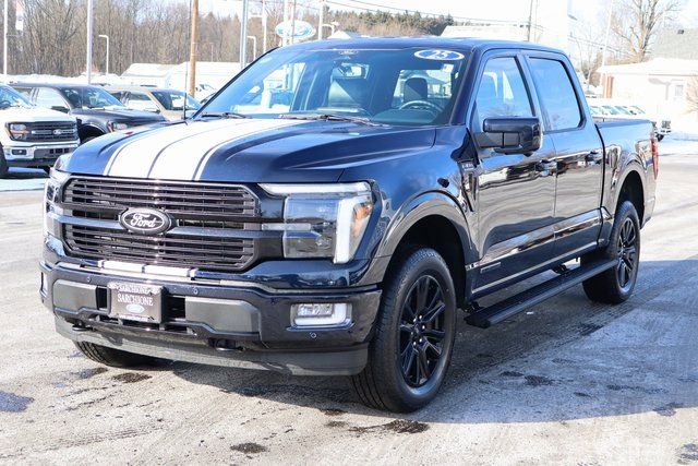 Used 2025 Ford F150 Platinum image 15