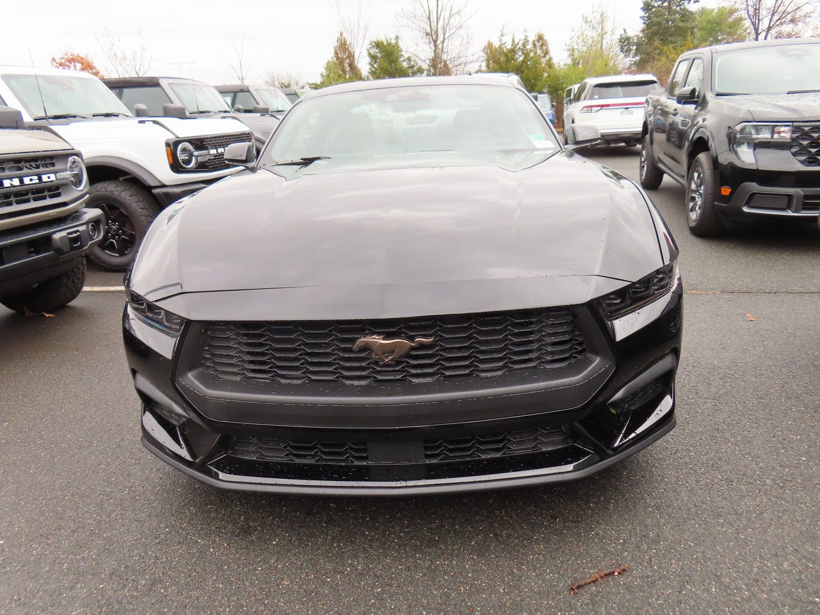 New 2026 Ford Mustang Premium w/ Bronze Appearance Package image 2