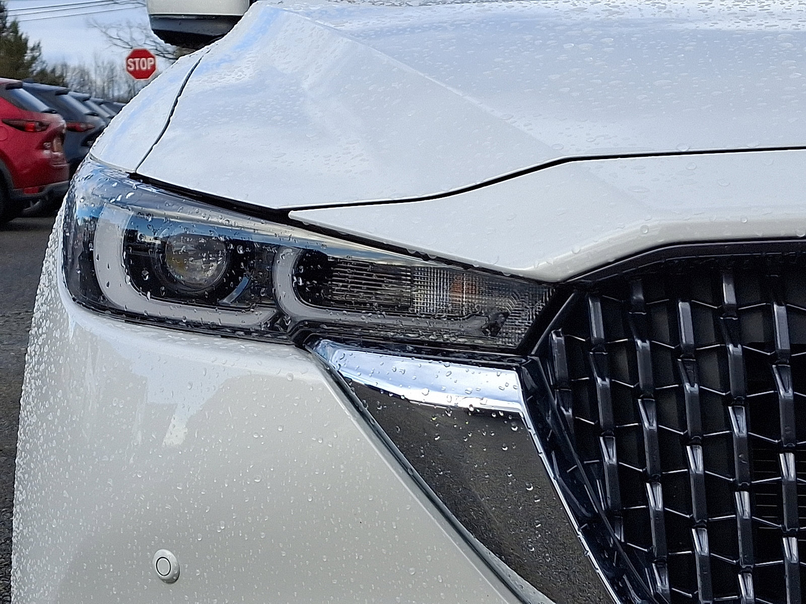 Certified 2025 MAZDA CX-5 Signature image 9