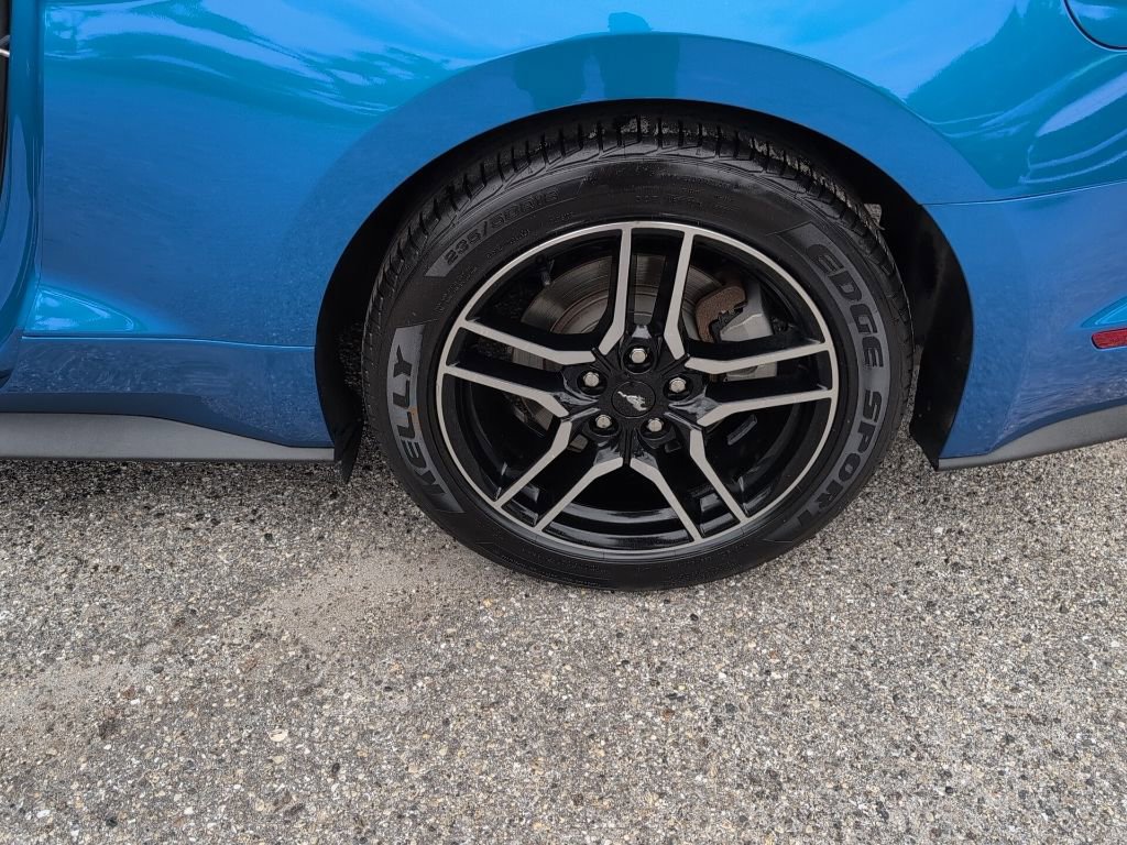 Used 2019 Ford Mustang Coupe w/ Equipment Group 101A RWD image 13