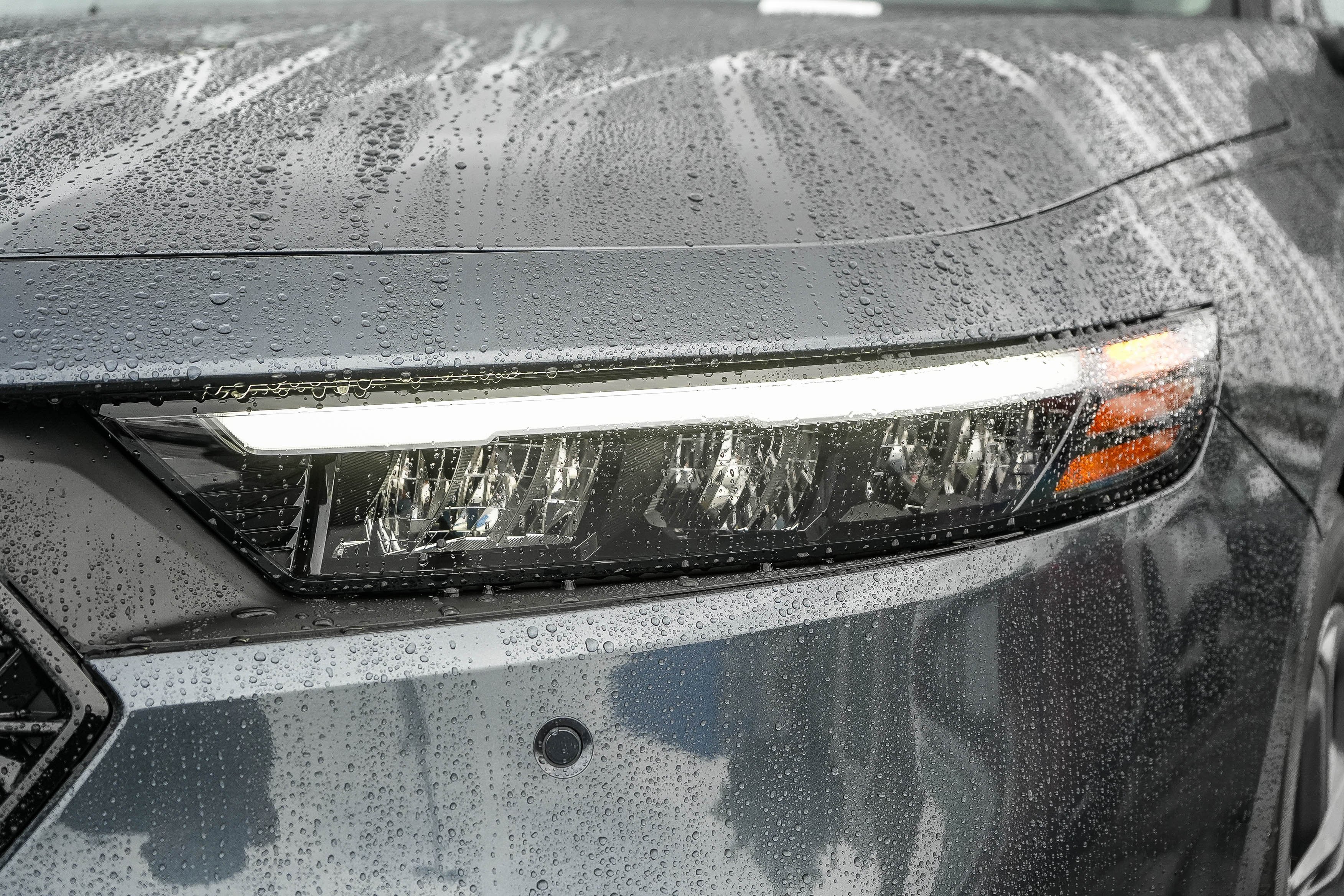 New 2026 Honda Accord EX-L image 5