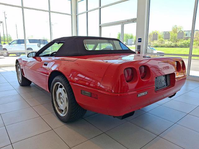 Used 1995 Chevrolet Corvette Convertible image 5