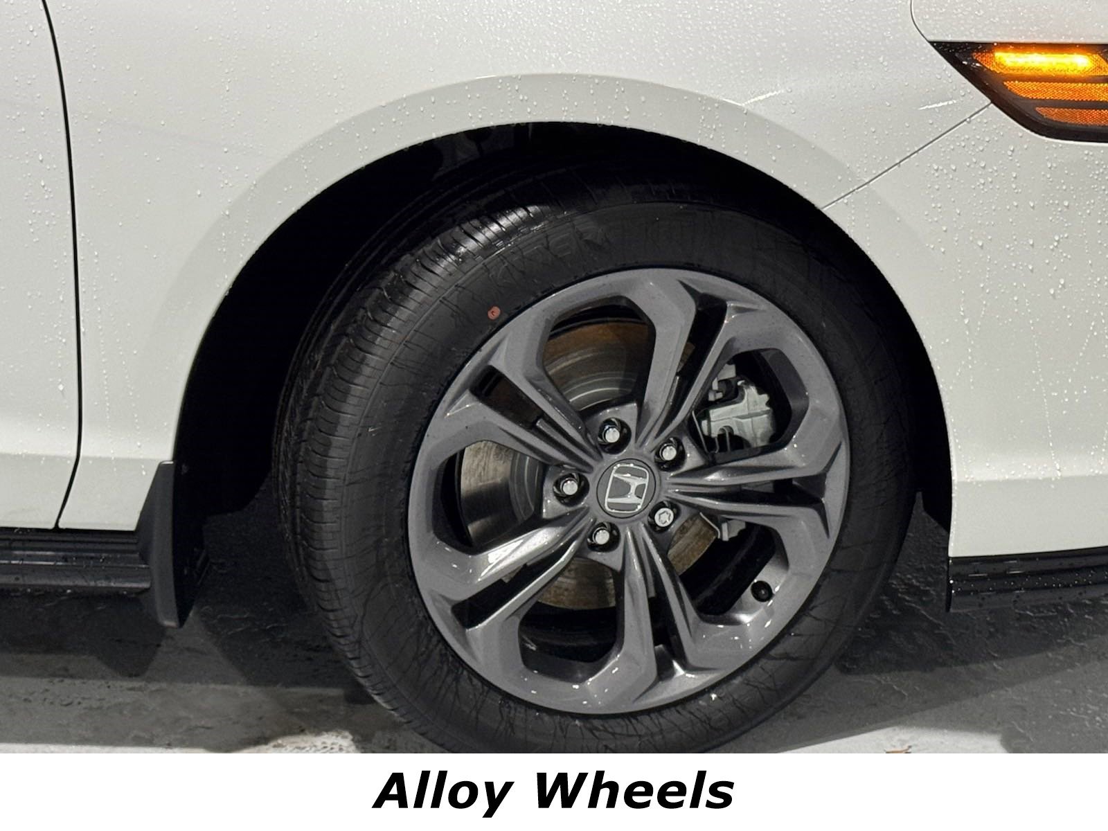 New 2025 Honda Accord EX-L image 14