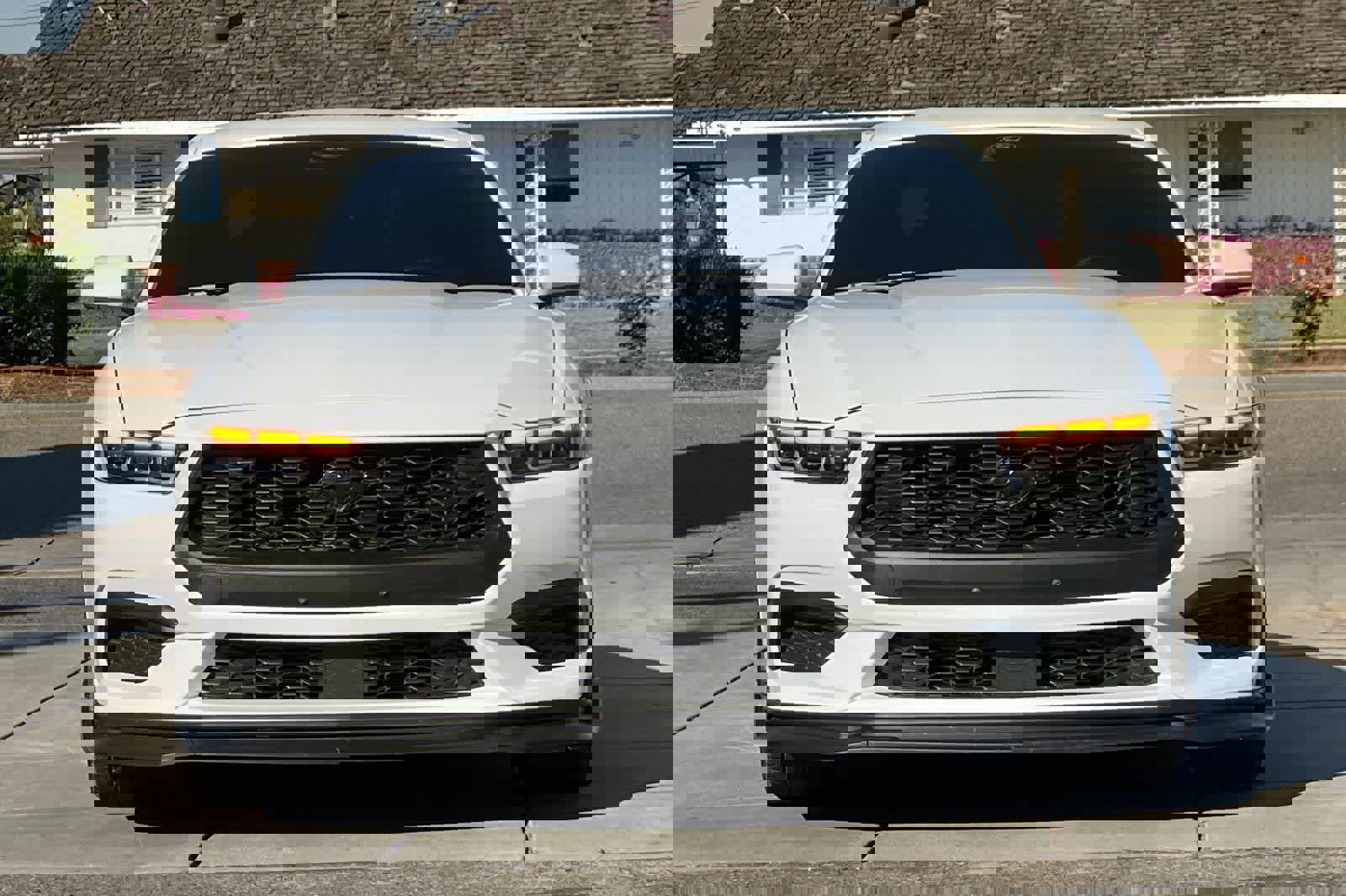 Used 2024 Ford Mustang EcoBoost image 11