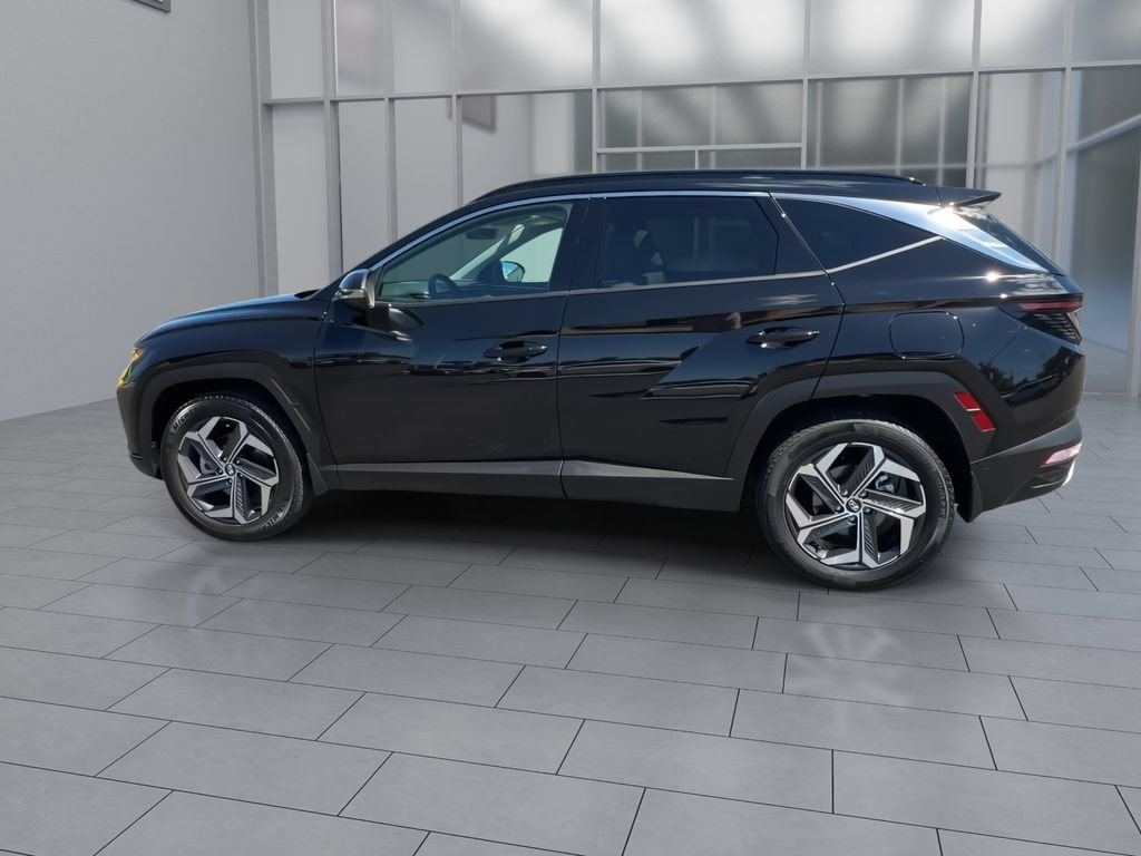 Used 2024 Hyundai Tucson Limited AWD/4WD image 5
