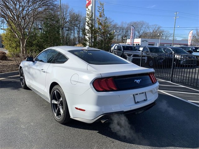 Used 2023 Ford Mustang Coupe w/ Equipment Group 101A image 6