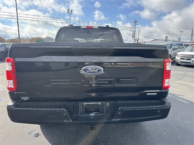 Used 2023 Ford F150 XL w/ XL STX Apperance Package image 5