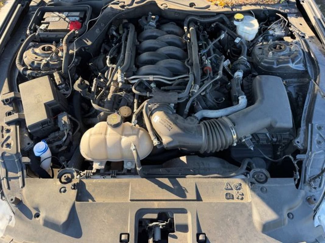 Used 2023 Ford Mustang GT Premium w/ Equipment Group 401A RWD image 14