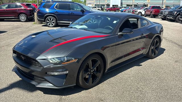 Used 2023 Ford Mustang Coupe w/ Equipment Group 101A RWD image 2