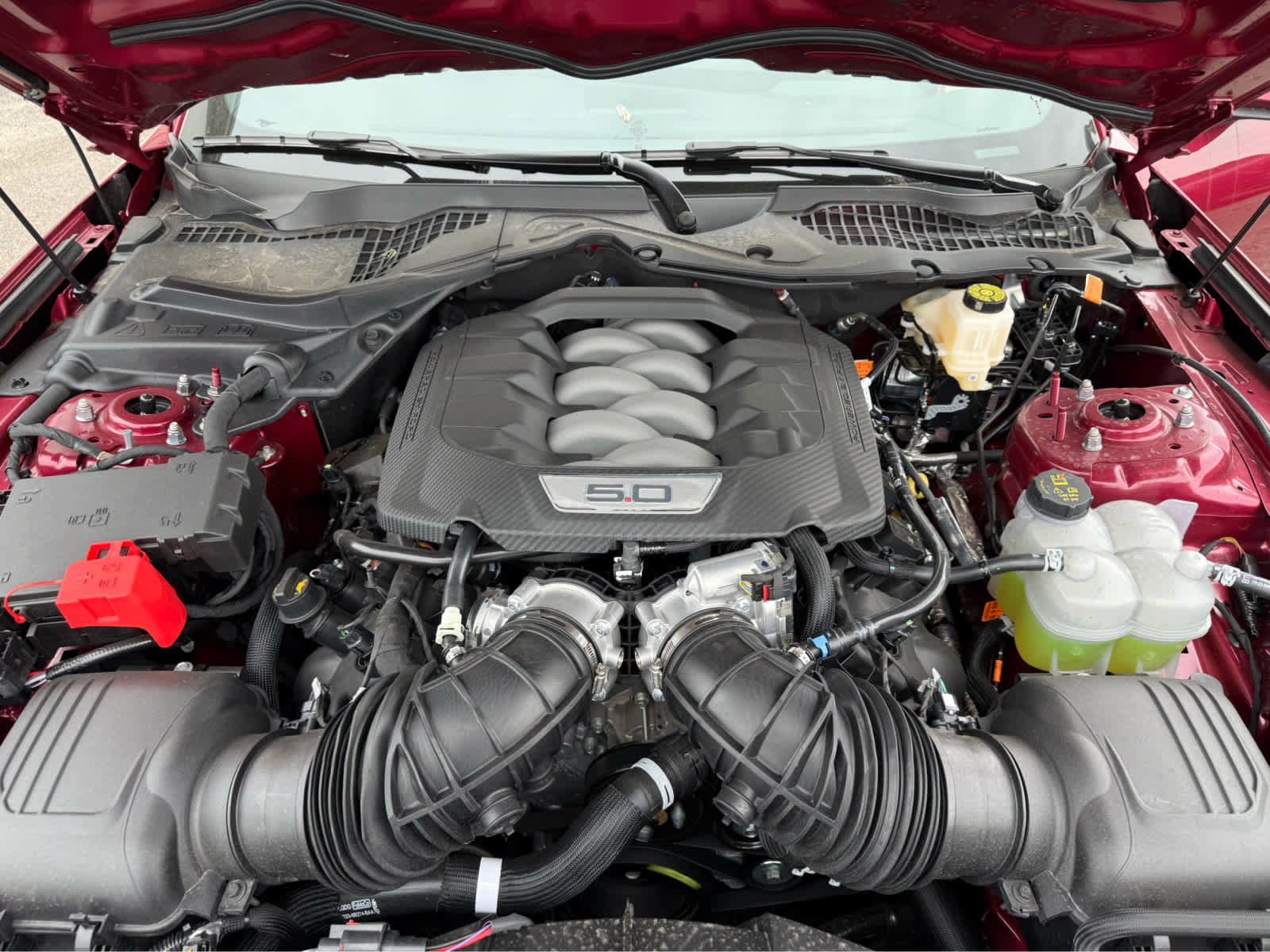 New 2025 Ford Mustang GT Premium image 19