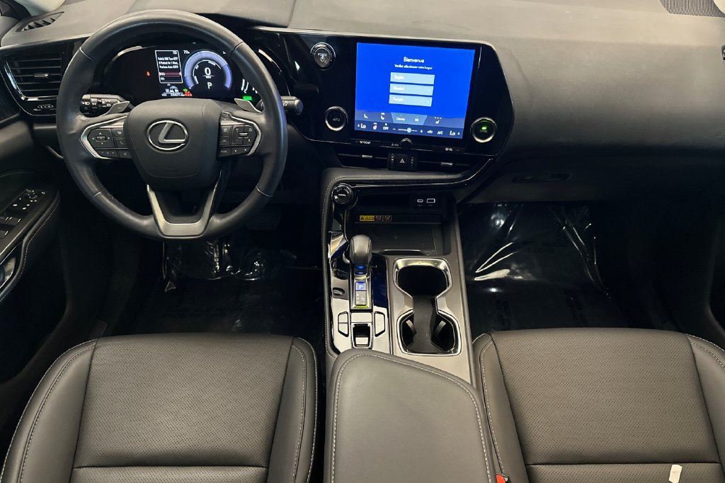 Certified 2025 Lexus NX 350h AWD w/ Cold Area Package image 13