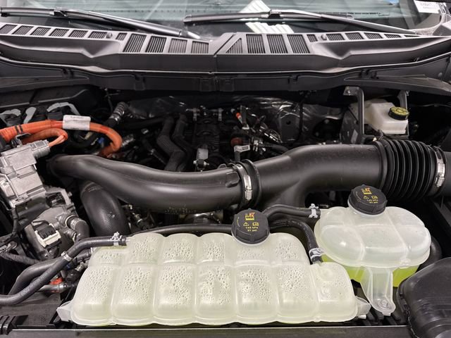 Used 2025 Ford F150 XLT w/ Equipment Group 302A MID image 44