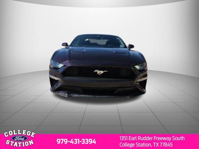 Used 2023 Ford Mustang EcoBoost w/ Equipment Group 101A image 2