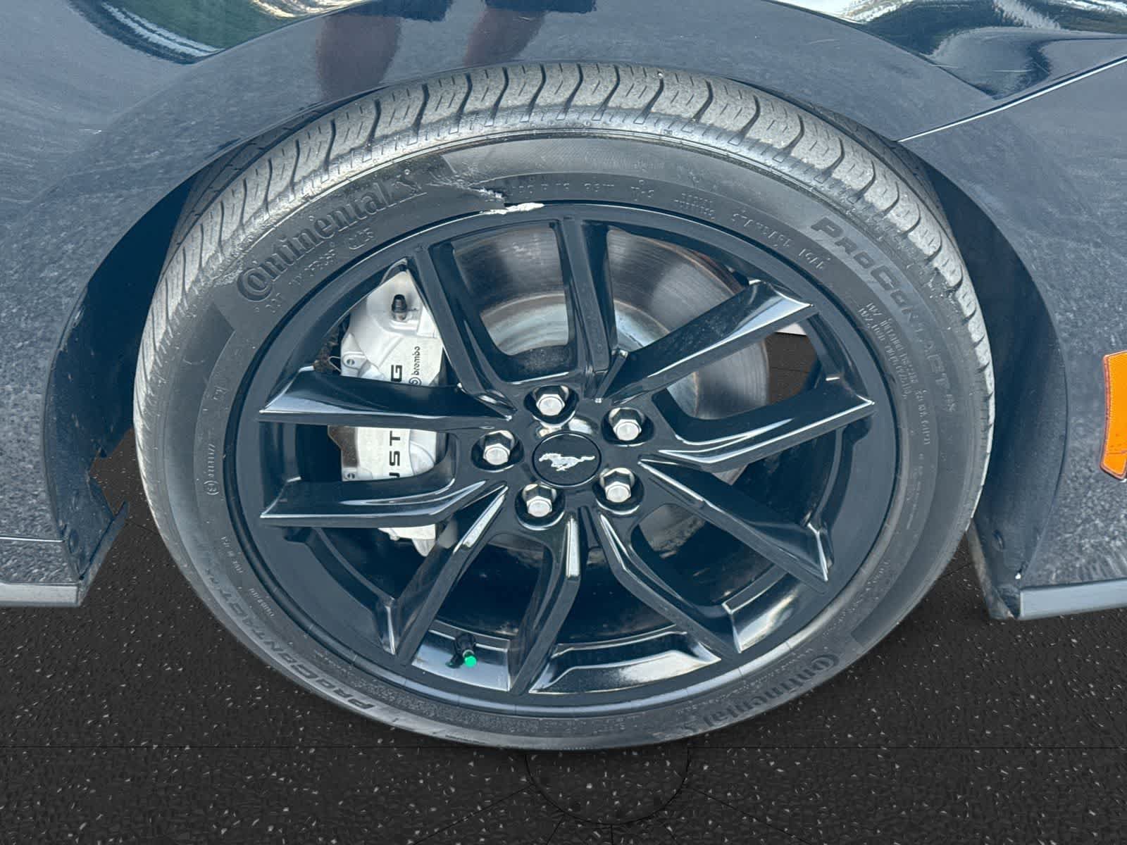 Used 2025 Ford Mustang GT Premium RWD image 19