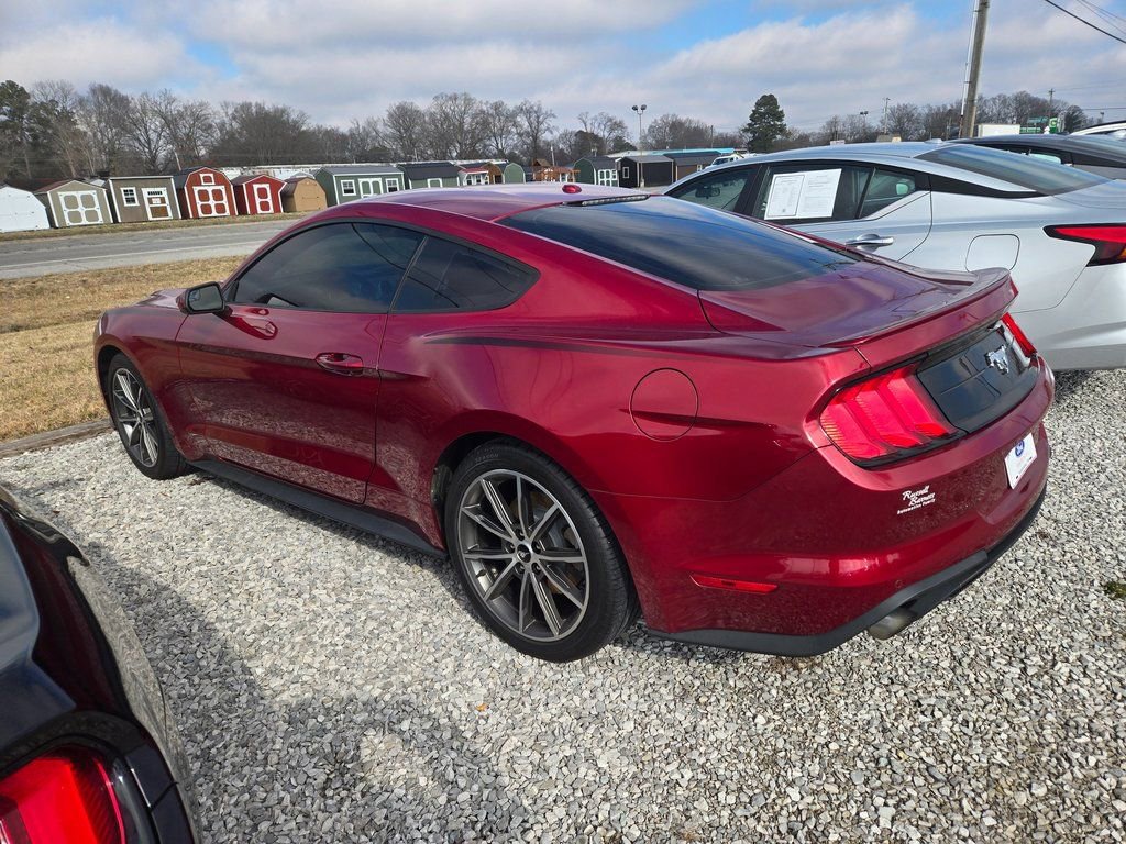 Used 2019 Ford Mustang EcoBoost w/ Equipment Group 101A image 3