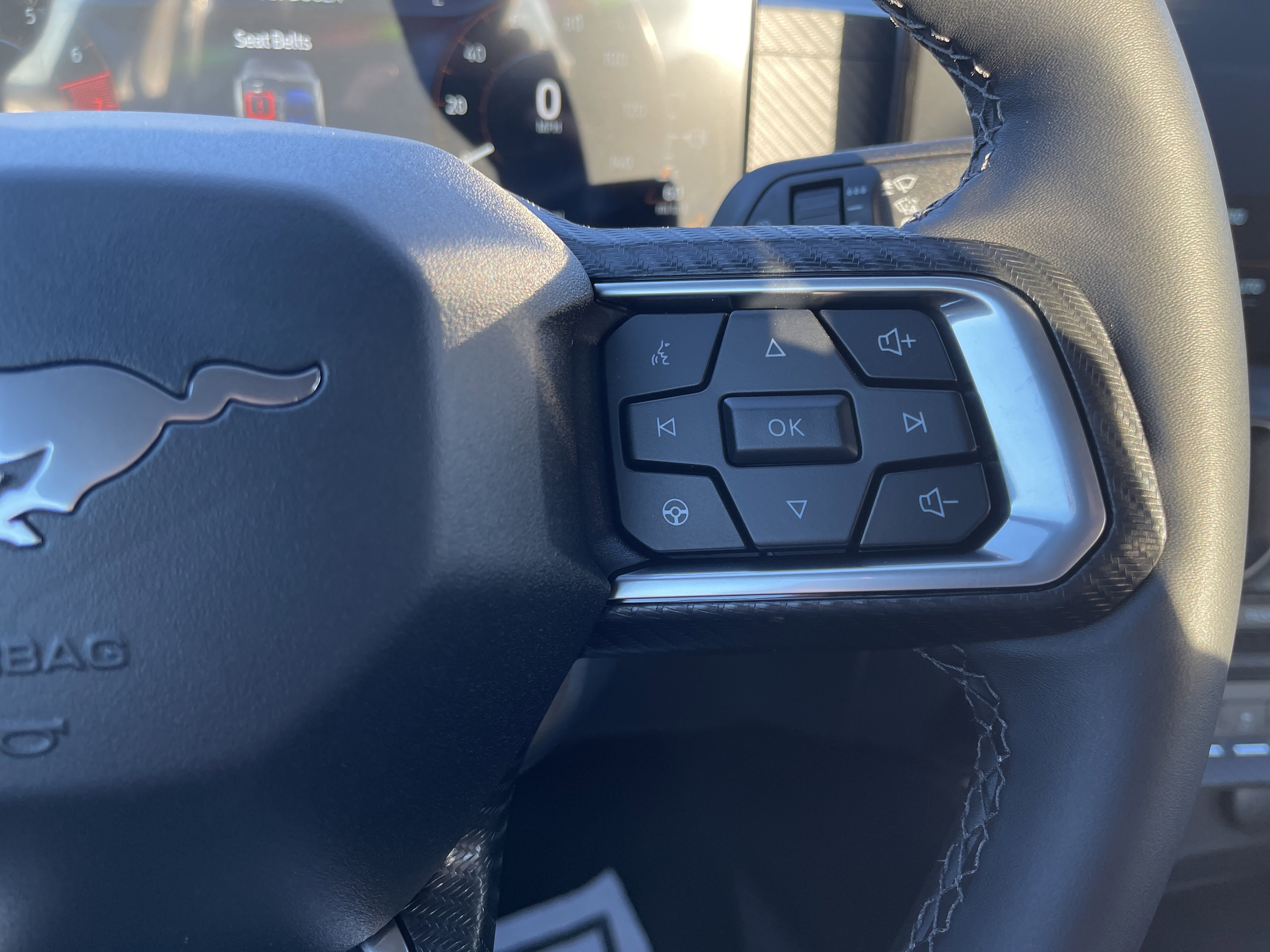 New 2025 Ford Mustang Coupe image 17