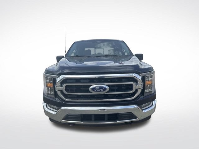 Used 2022 Ford F150 XLT w/ Equipment Group 302A High AWD/4WD image 2