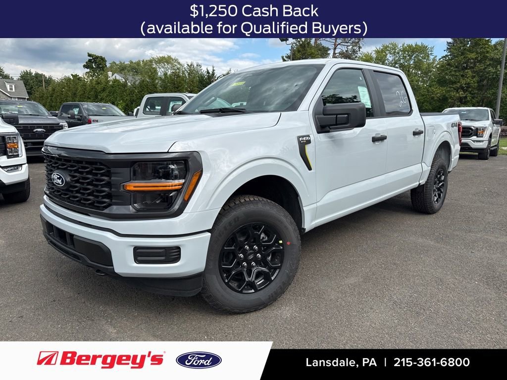 New 2025 Ford F150 STX image 1