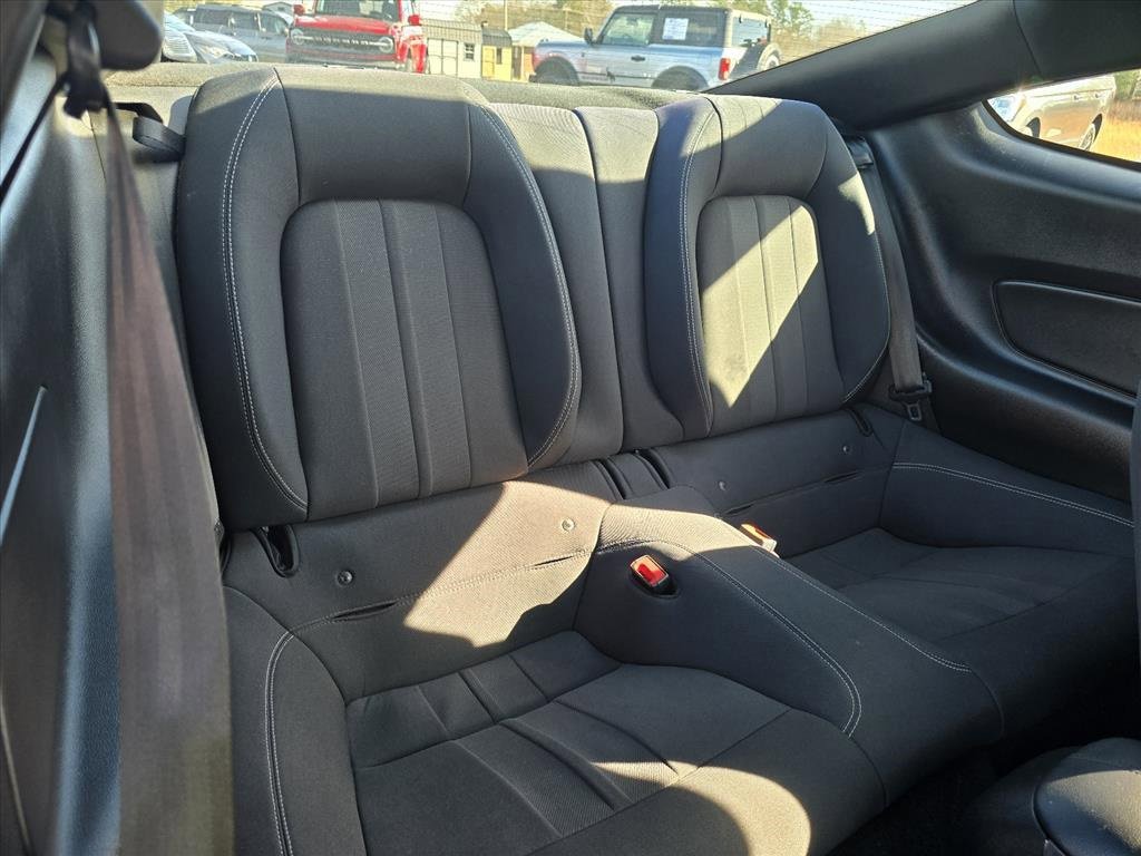 Used 2019 Ford Mustang EcoBoost w/ Equipment Group 101A image 11