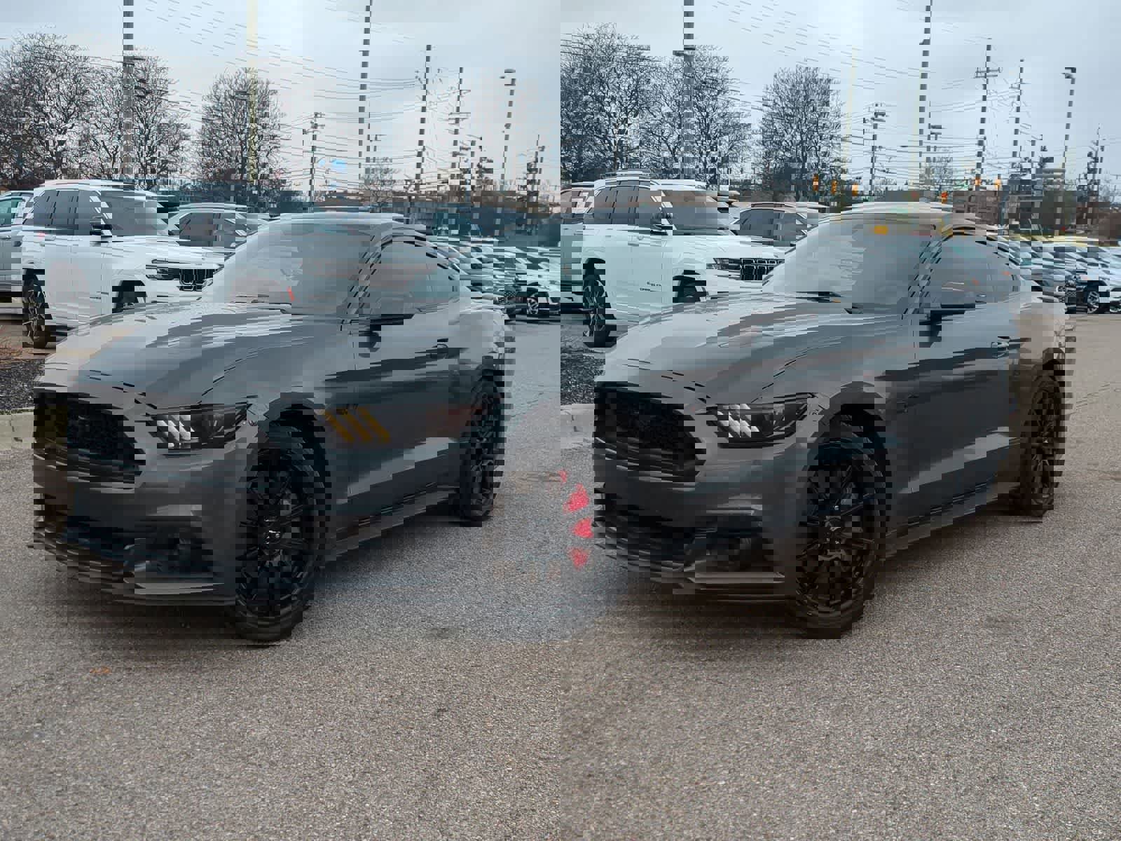 Used 2016 Ford Mustang GT Premium w/ Black Accent Package image 1