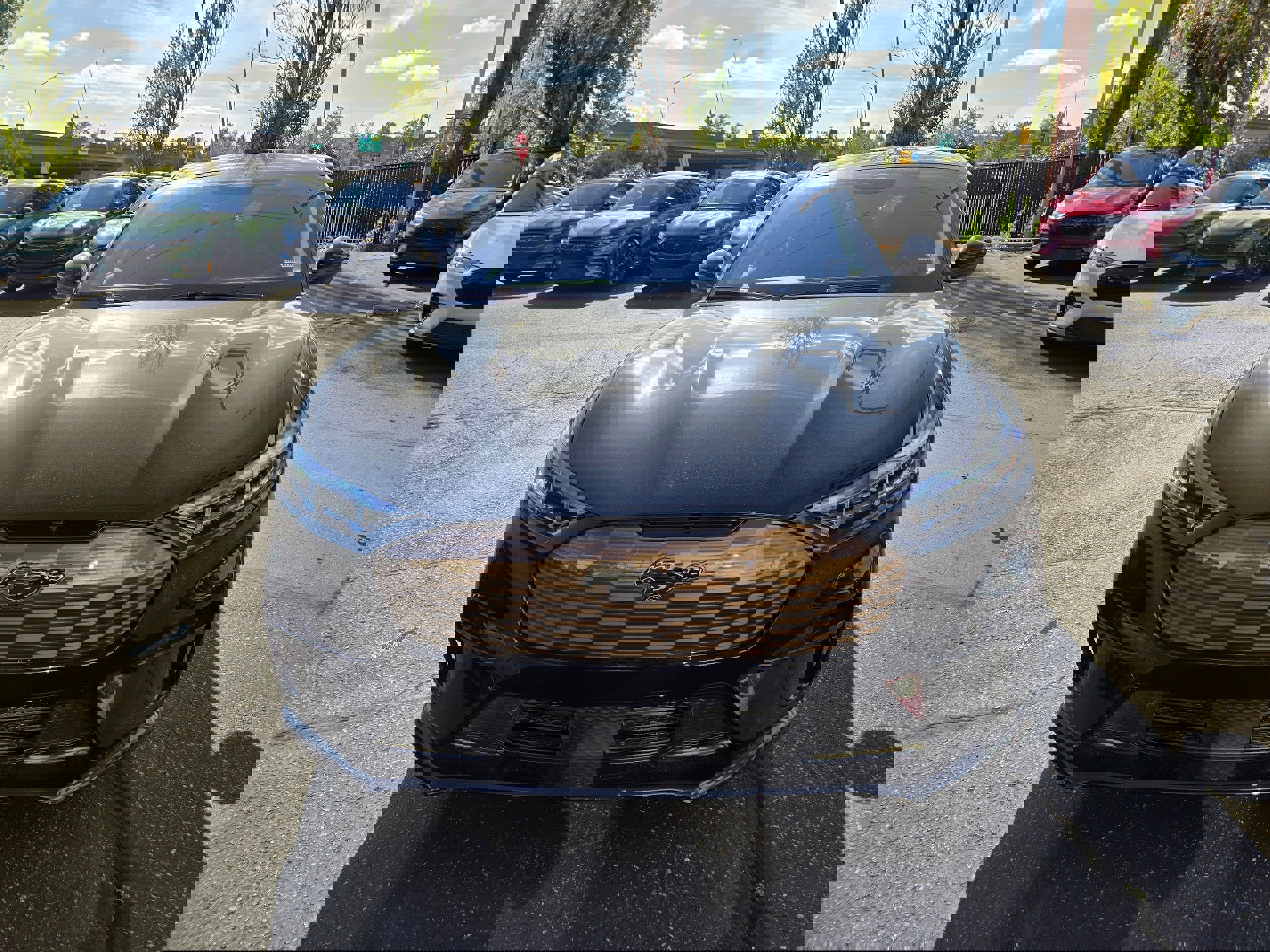 New 2025 Ford Mustang Mach-E GT w/ Bronze Appearance Package image 2