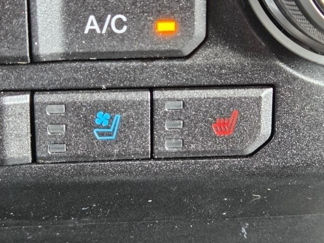 Used 2019 Ford F150 Raptor w/ Equipment Group 802A Luxury AWD/4WD image 12