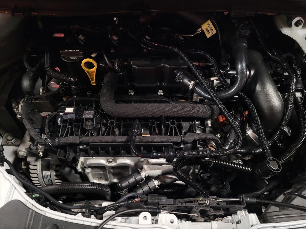 Used 2019 Ford Escape SE FWD image 30