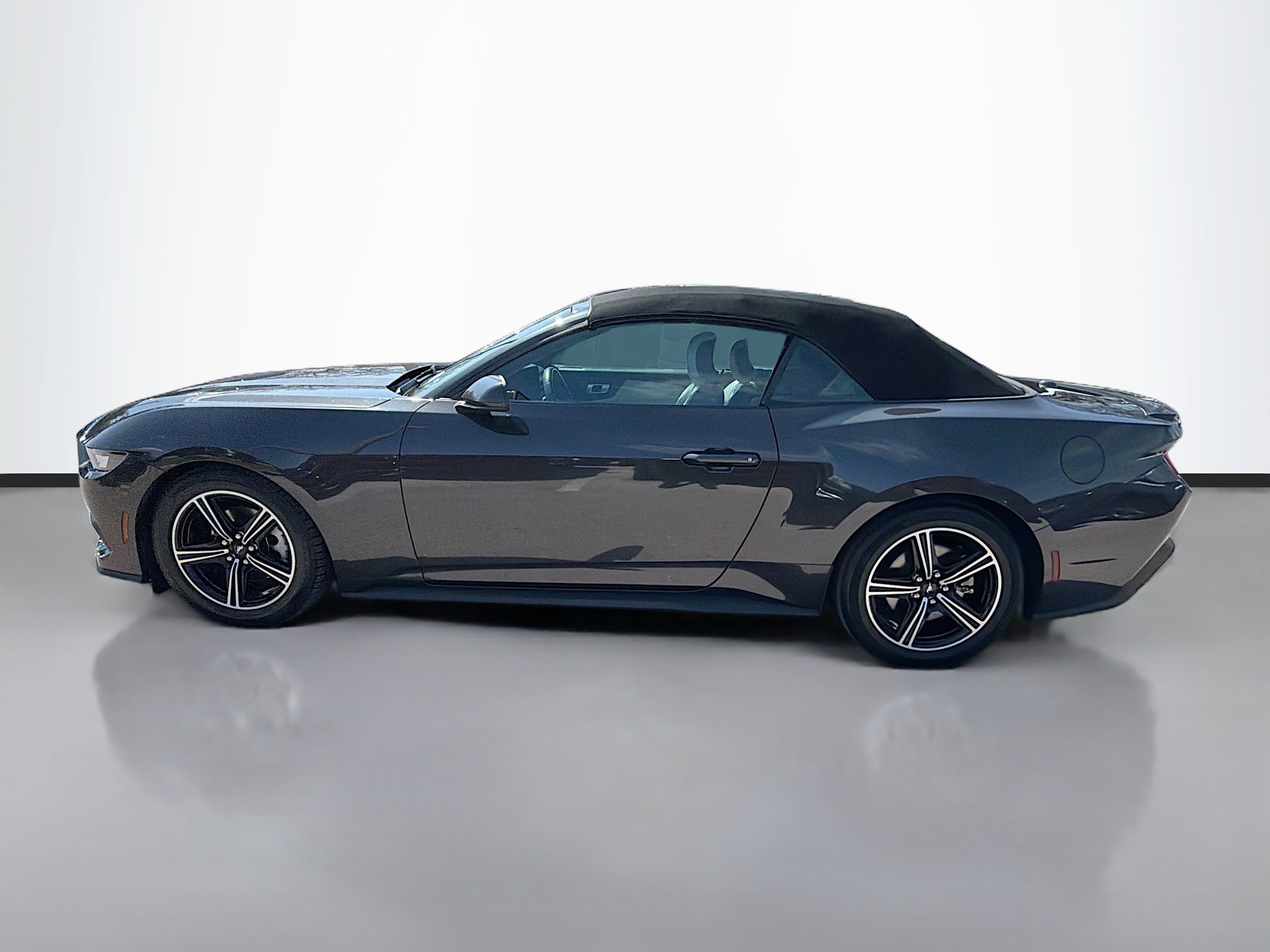 Used 2024 Ford Mustang Premium image 6
