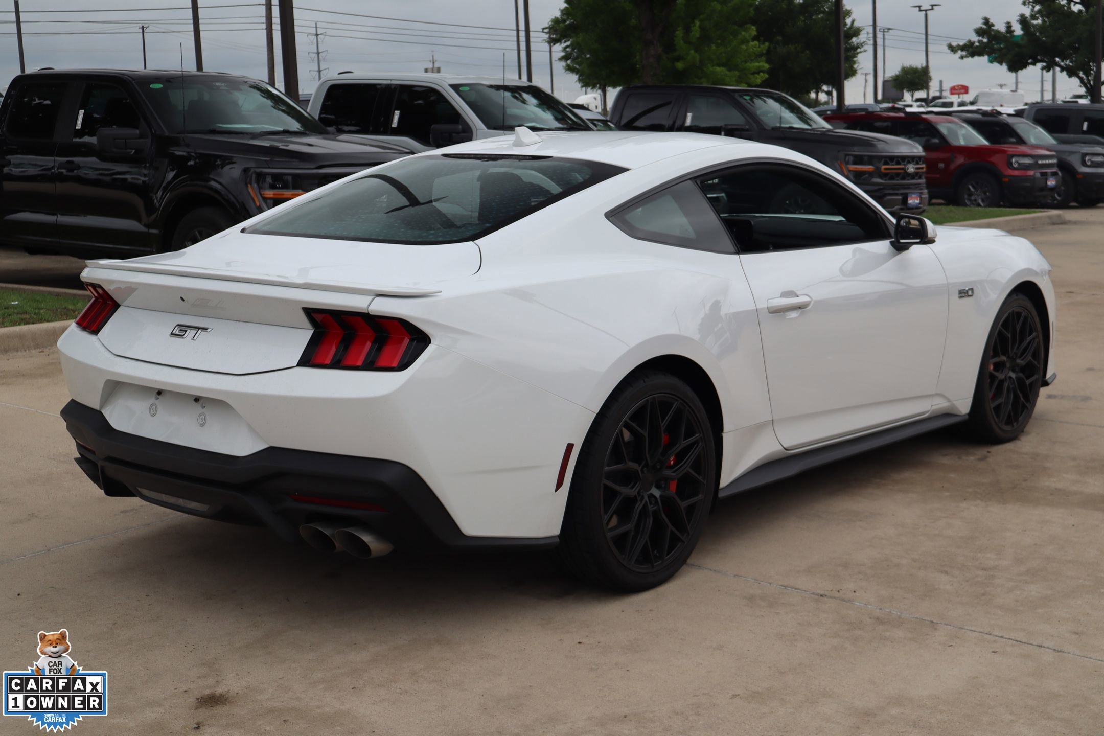 Used 2024 Ford Mustang GT Premium RWD image 3